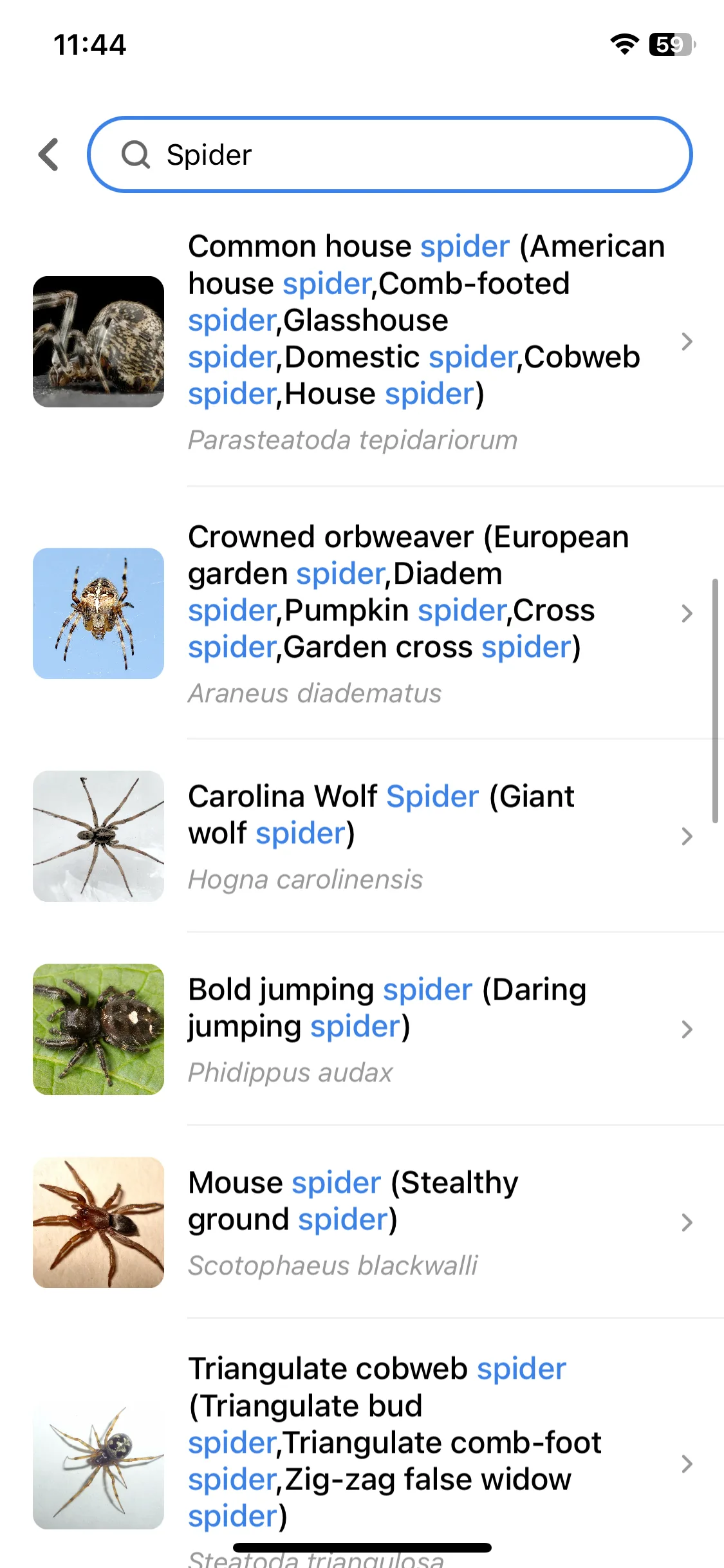 Test Image 3